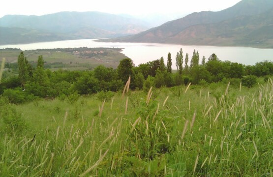 listing_area